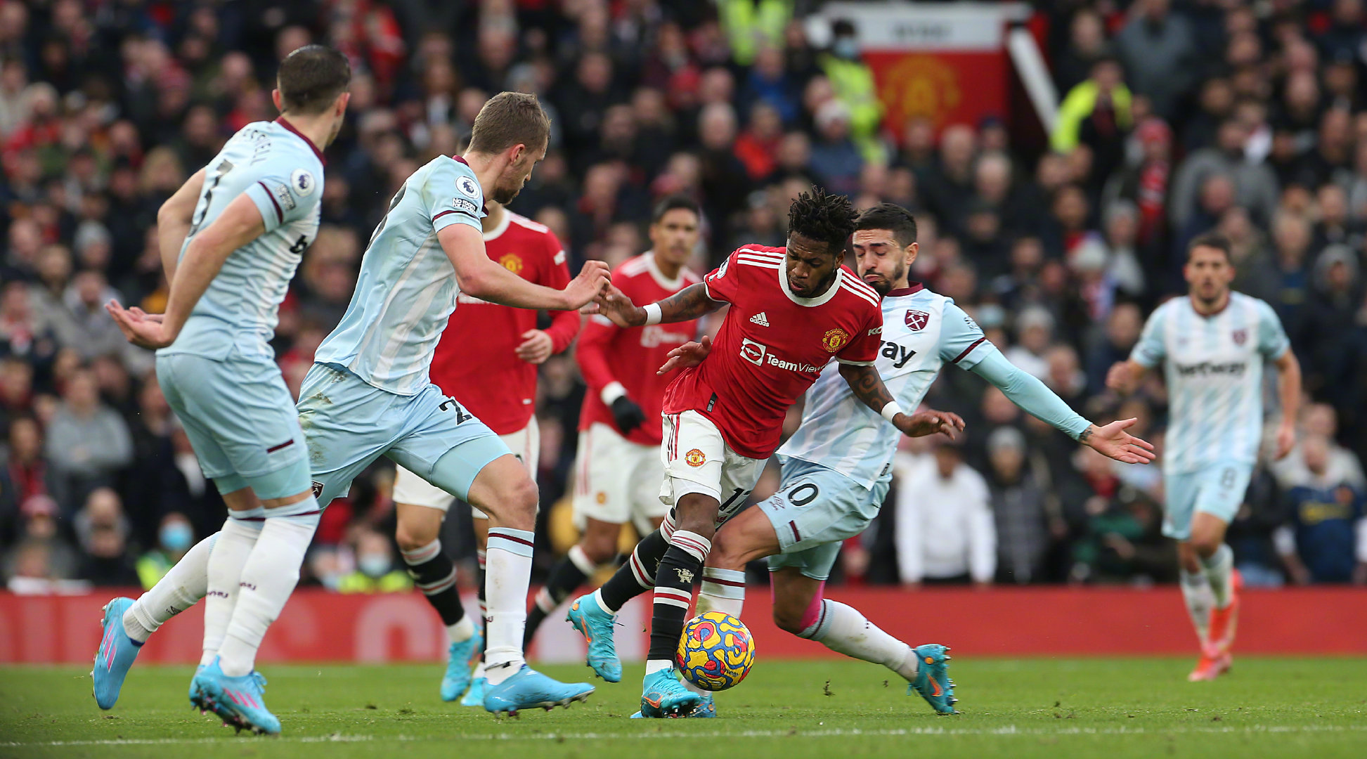 他完全有机 他完全有机